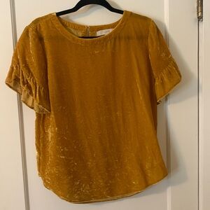 LOFT Velvet Top